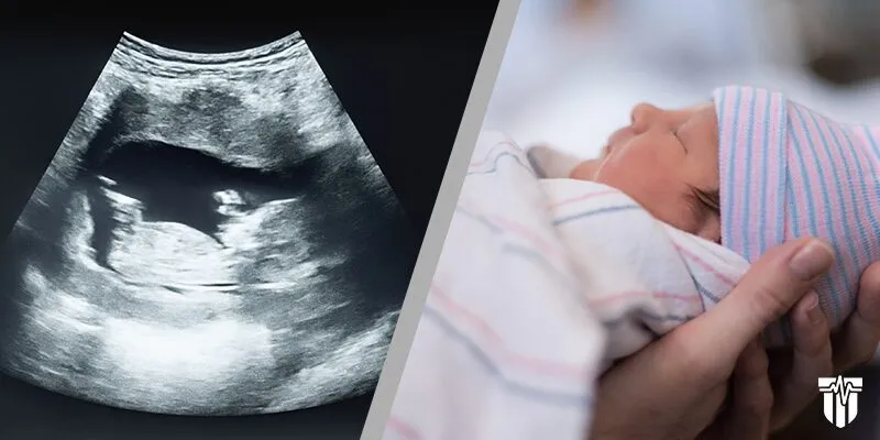 From First Cell to First Cry: The Story of Life in the Womb