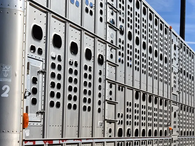 NCBA Backs Mexican Cattle Reopening Under New Protocol