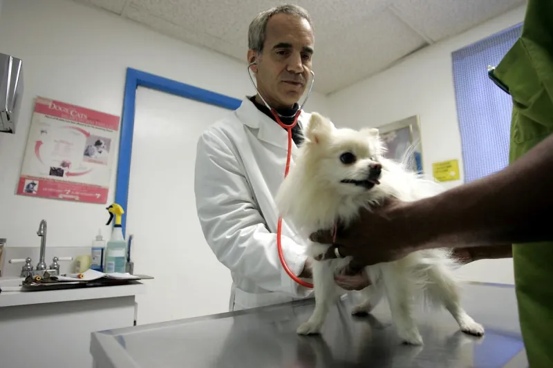 Beware: Texas Dog Owners Warned About Pet Food Recall