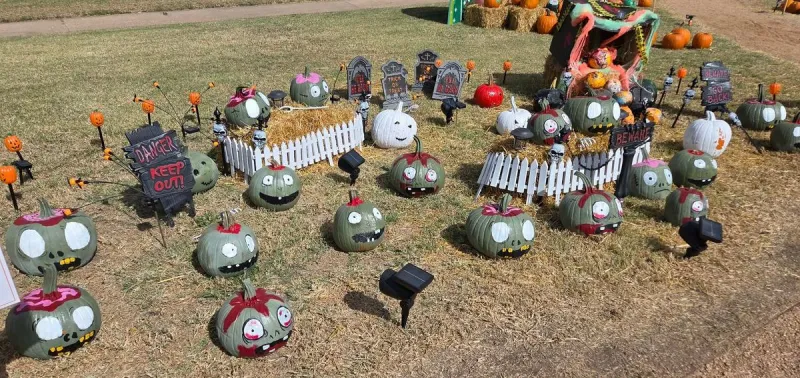 City Of Lubbock Needs Your Carved Pumpkins, Pumpkin