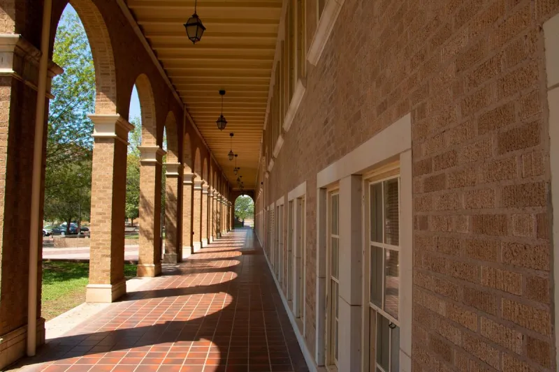 Here Are The Most Popular Majors At Texas Tech
