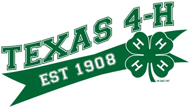 County 4-H hosting exploration for prospective members