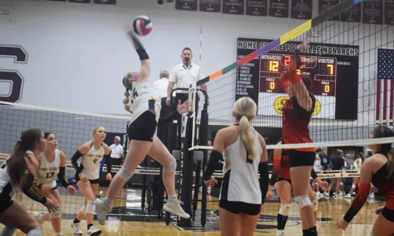 Bellevue VB falls to Petrolia