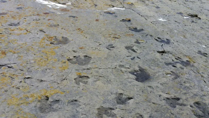 Texas Is Hiding a Prehistoric Secret in This Small Town