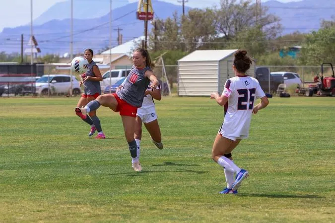Lobos And Thunderwolves Slug It Out