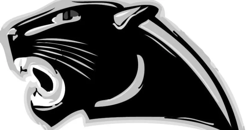 NLISD launches Golden Panther Program for community members 55 and older