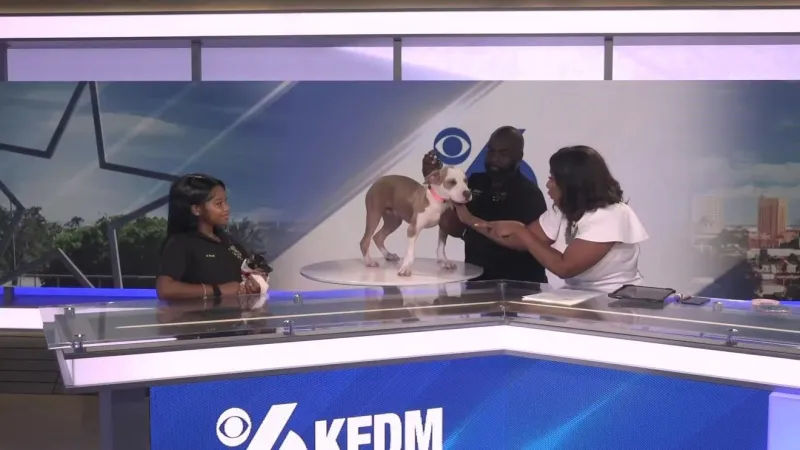 Port Arthur Animal Services to host event "Clear the Shelter" event Saturday, August 29