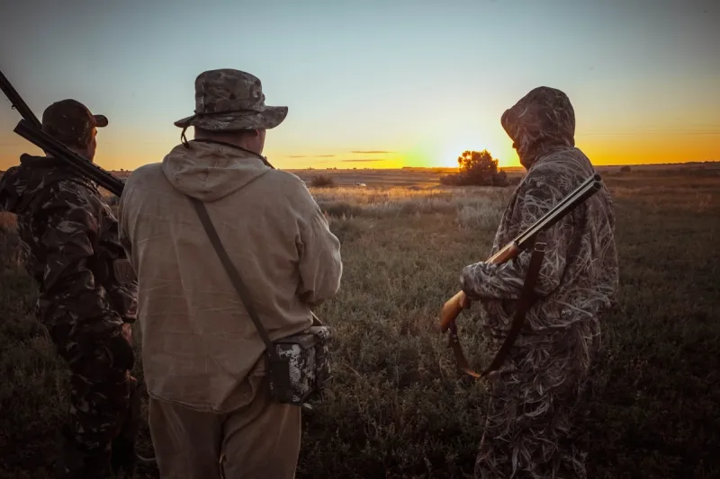 Texas Dove Season Has a Big Change This Year