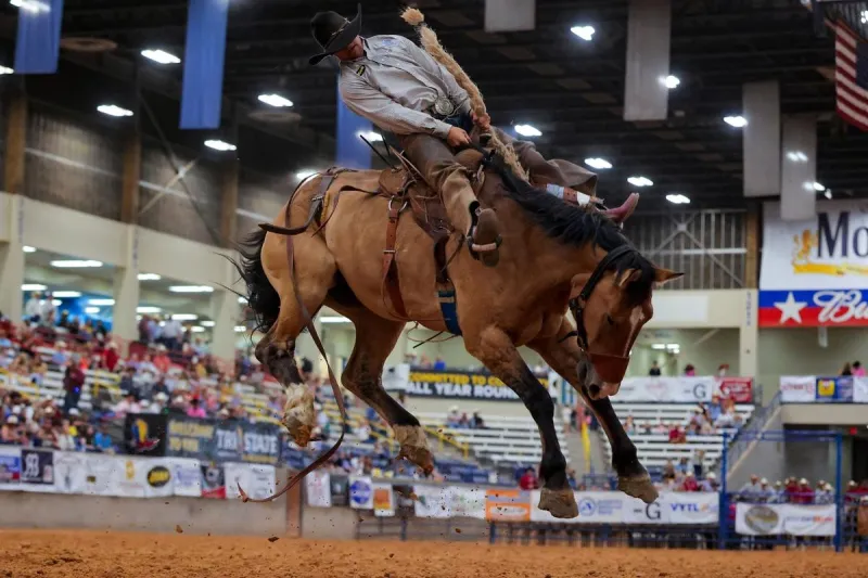 Cisco College Rodeo Takes Over Abilene During West Texas Fair