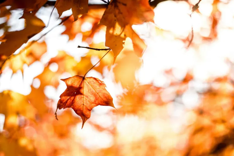 Why October Is The Best Month Of The Year In Lubbock