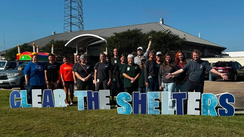 OVER 60 ADOPTIONS DURING CLEAR THE SHELTERS MONTH AT BRENHAM PET ADOPTION CENTER; FREE ADOPTIONS THROUGH TUESDAY