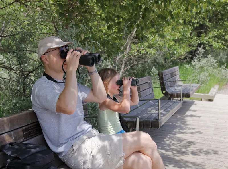 Texas Bucket List: Best Free Things to Do in Texas