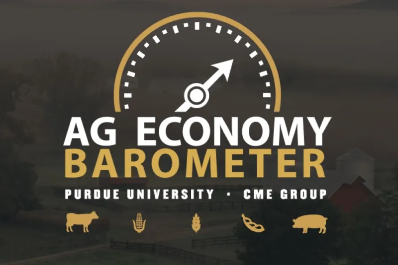 Farmer Sentiment Improves As Future Expectations Turn Higher