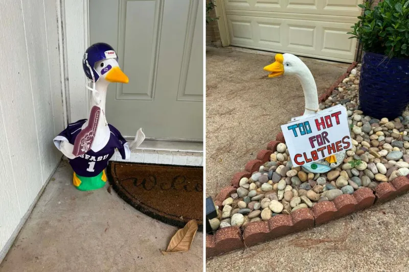 Dressed Up Geese Become Latest Home Decor Statement in Nacogdoches