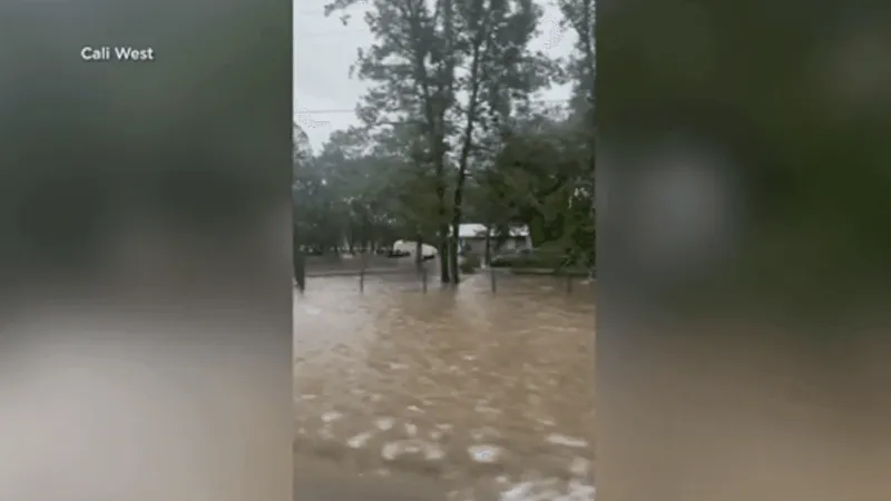 Response and recovery: Hardin County rescues, damage, outages linked to Edouard