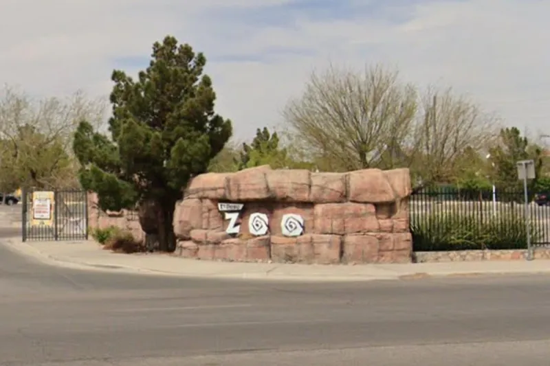 Halloween Is Taking Over the El Paso Zoo This October