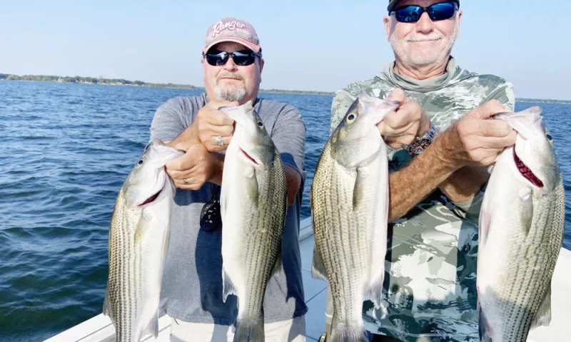 Tawakoni hybrids on early morning bite