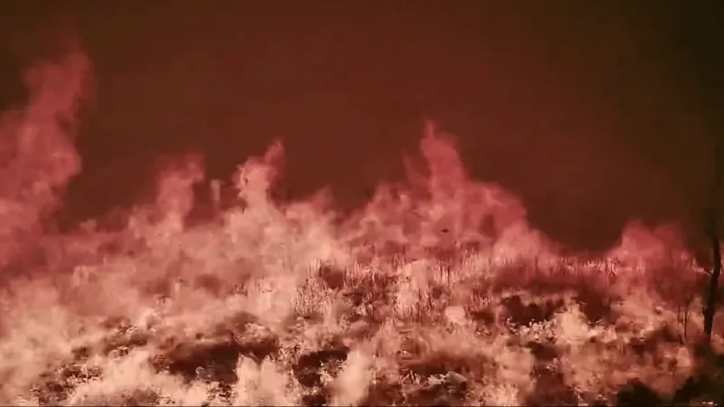 Texas A&M Forest Service: Ross Fire was human-caused