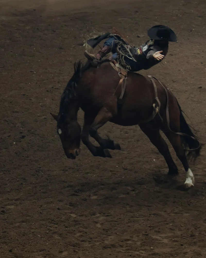 The San Augustine County Rodeo Returns on September 11th and 12th