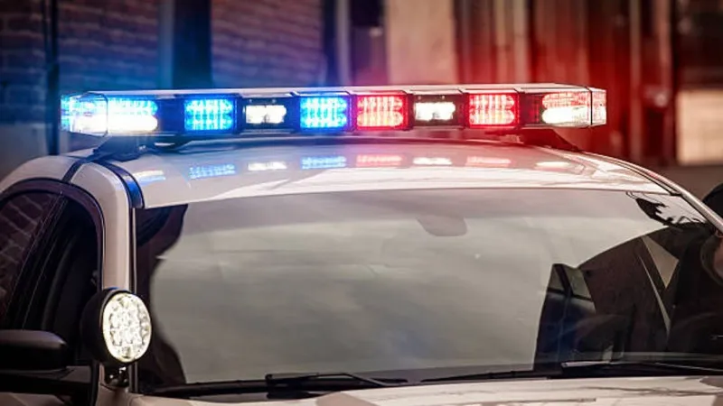 Multiple animals seized from We Care Wildlife Sanctuary in major law enforcement operation