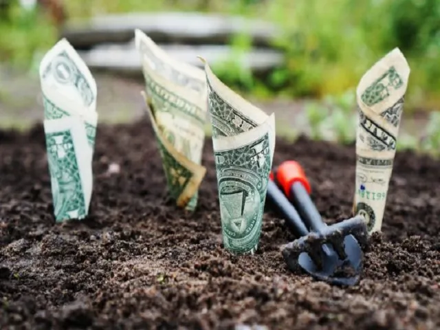 Farm Debt Climbs As Sector Solvency Weakens Further