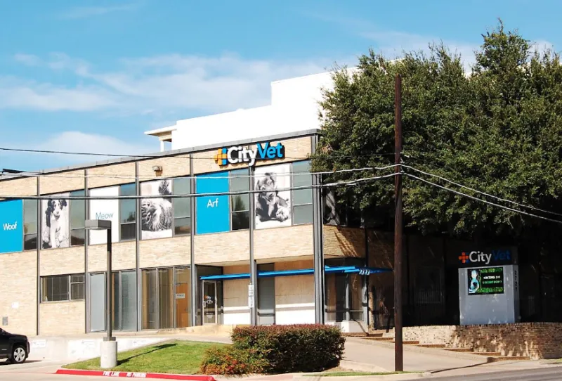 CityVet, including Oak Lawn location, honors Dolly Parton with DFW children's book drive