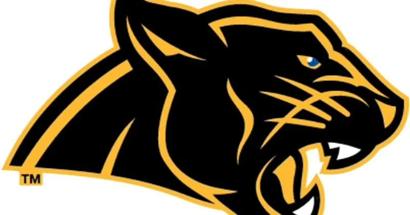 No. 8 North Lamar Pantherettes win 20th game of season with sweep of Quinlan Ford on the road