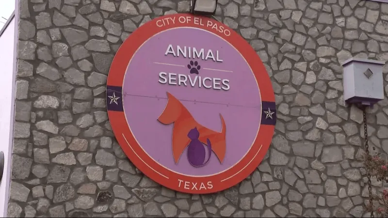 City of El Paso says four jurisdictions owe $1.51M for animal services, county tops list