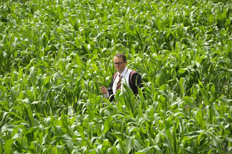 Rocky Creek Maze Kicks Off 2026 Season October 3rd