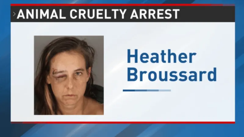 BPD: Woman strangled kitten during arrest, forcing Animal Control to end its suffering