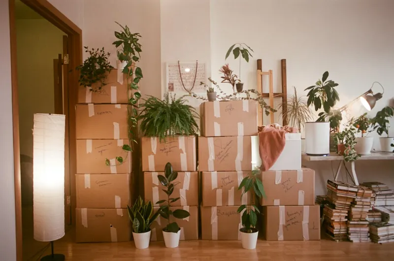 Where Can You Get Free Boxes in Lubbock?