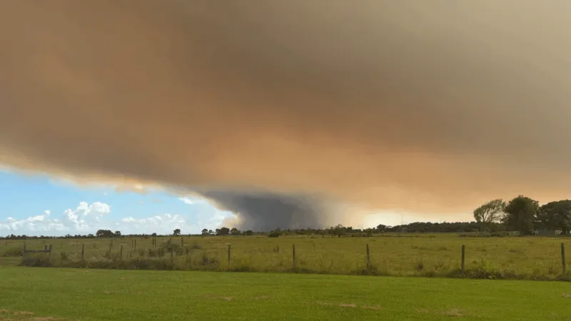 Lightning strike sparks marsh fire raining ash on pools, property