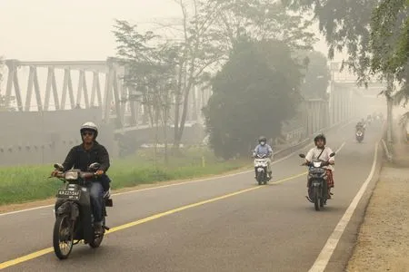 Indonesia's choking wildfire, haze worsen breathing woes on Borneo