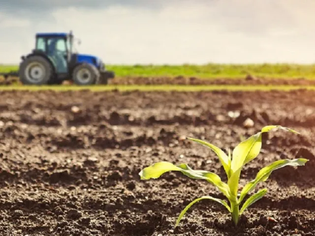 Farmers Shift Toward Generics As Input Costs Bite