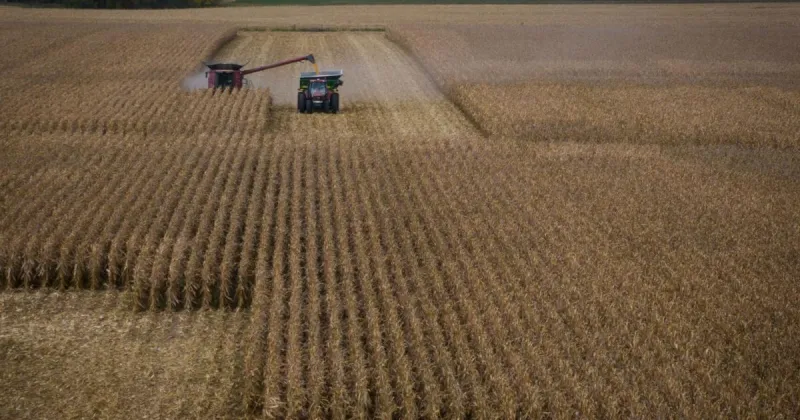 Editorial: Illinois farmers are farming the government for cash