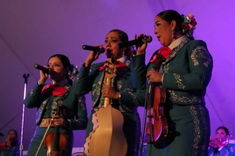 Entertainment Schedule For 2026 International Festival In Lawton