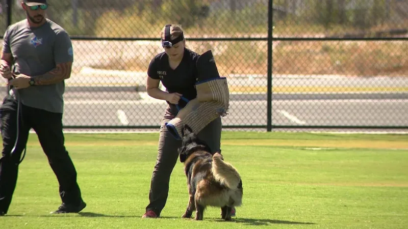 Top police K-9 teams to compete in national field trials in Abilene Sept. 20-25