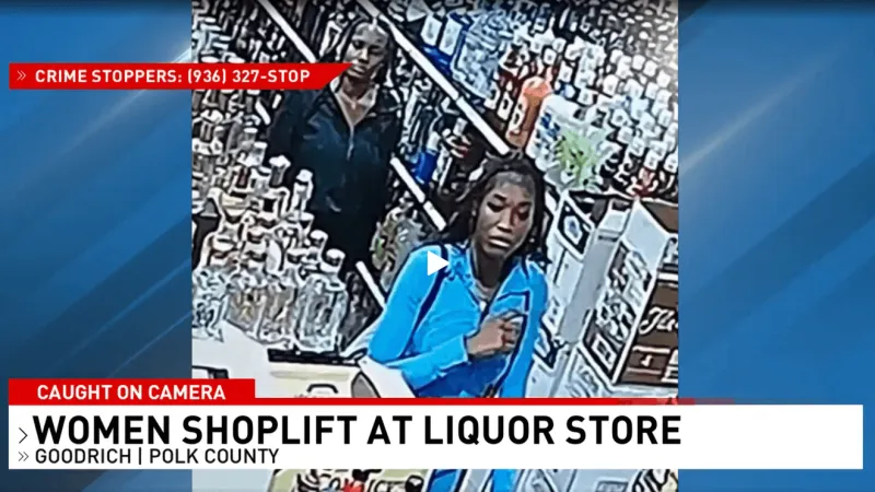 Bottle bandits? Search for women caught on camera stealing booze from liquor store
