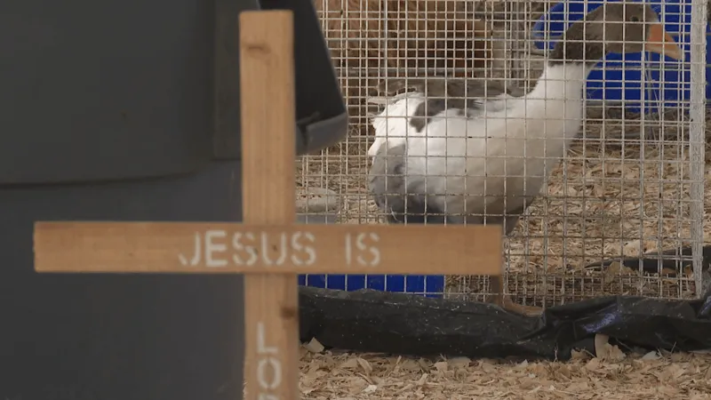 Man travels 250,000 miles to spread message of faith through animal encounters