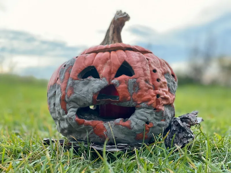 Don't Just Throw Your Pumpkin in the Trash, Lubbock