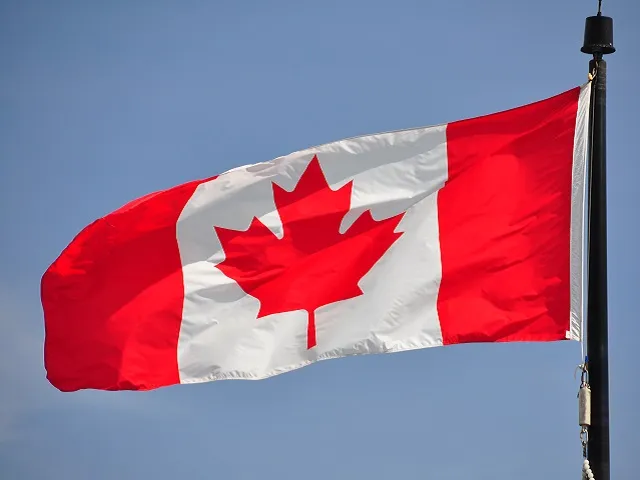 Canada Livestock Outlook Splits Beef And Pork Trends