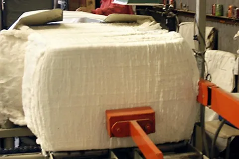 Fashion Cost Pressures Could Reshape Cotton Sustainability Demands