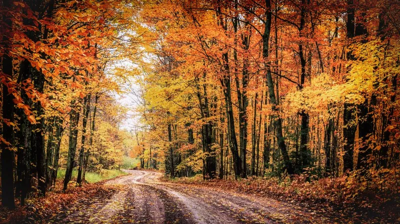Your Fall Home Prep Checklist for Amarillo
