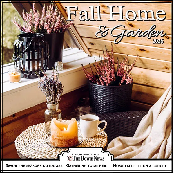 Fall home improvement helps with a seasonal refresh