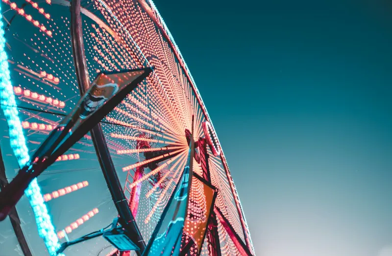 What Will Get You Kicked Out Of South Plains Fair?