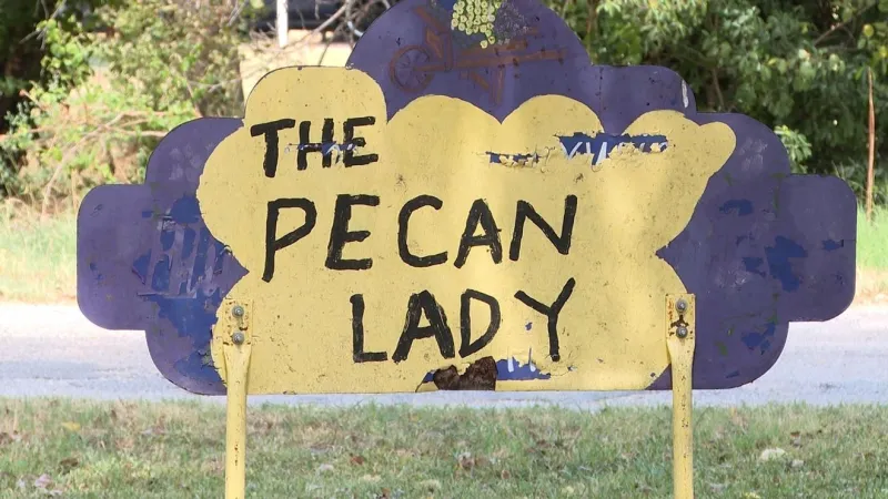 The Pecan Lady is ready for another harvest