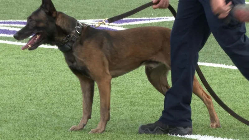 More than 100 police K-9 teams compete in Abilene at national event