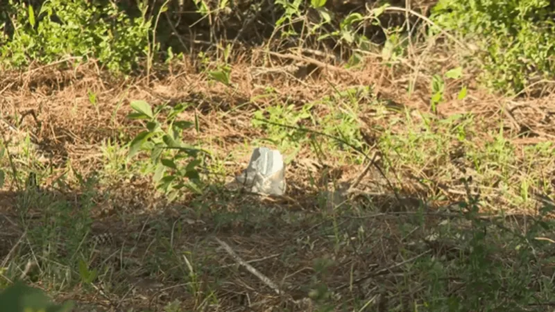 Sheriff: Too early to know if remains are those of missing Larkin, lab testing underway