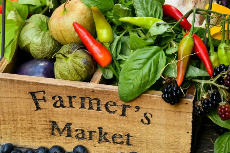 Texas Farmers Step Up To Feed Neighbors In Need