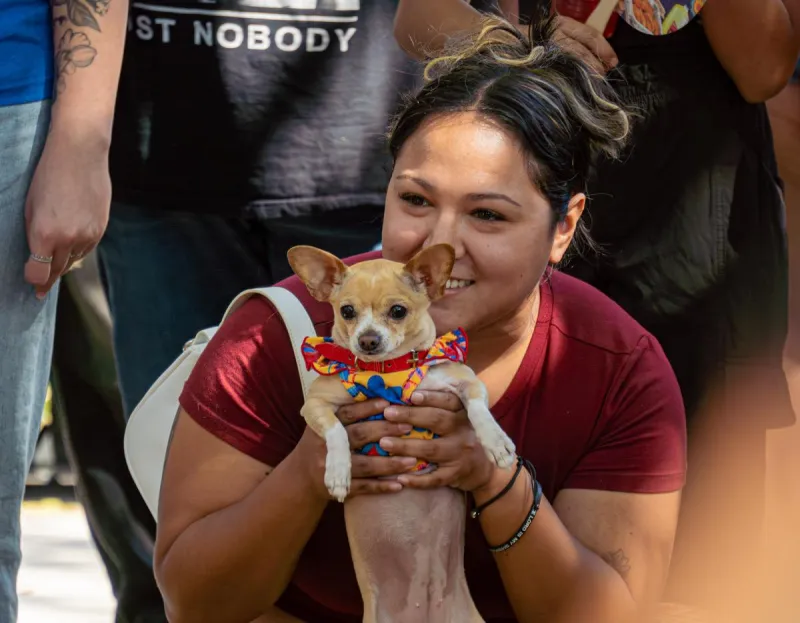 Tejas Fest To Include Jalapeno Eating Contest and Chihuahua Races